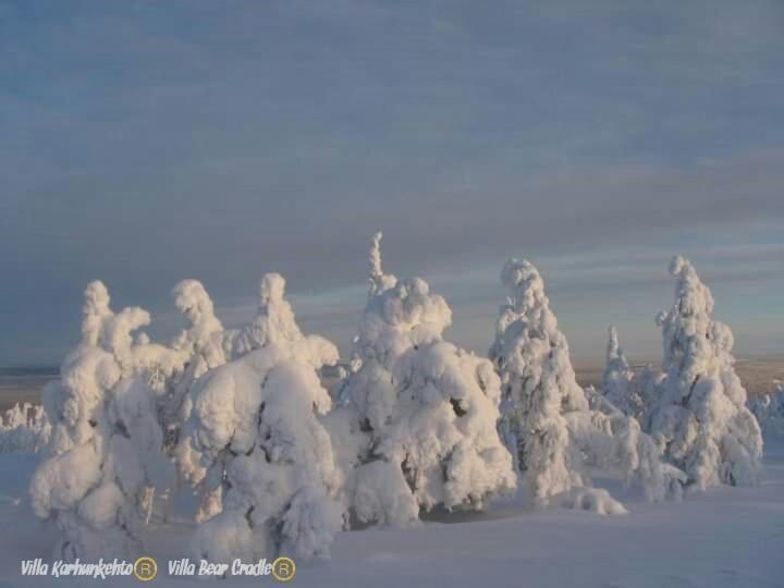 Villa Karhunkehto Luosto Bagian luar foto