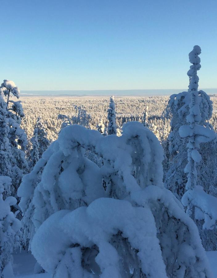 Villa Karhunkehto Luosto Bagian luar foto