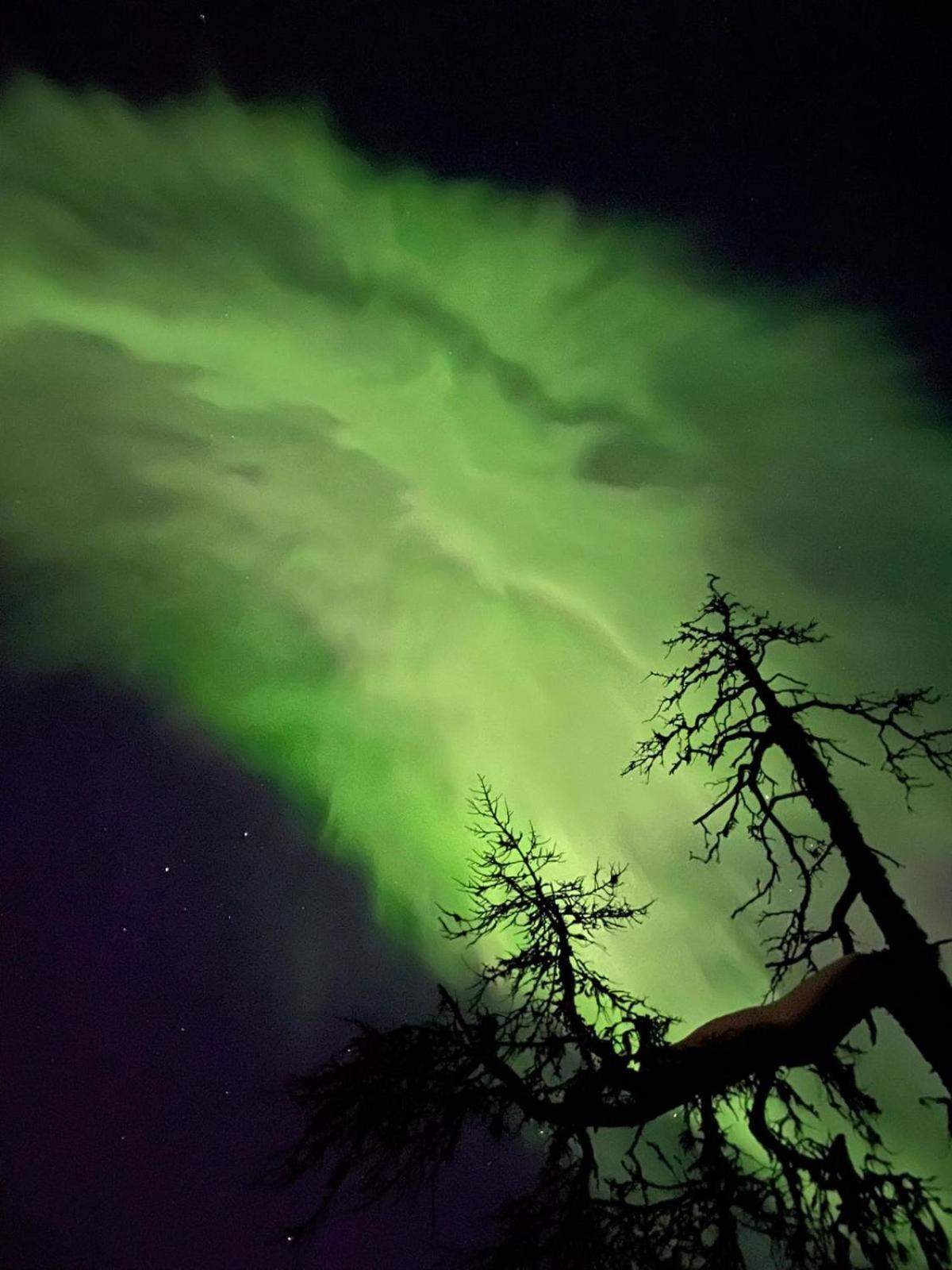 Villa Karhunkehto Luosto Bagian luar foto