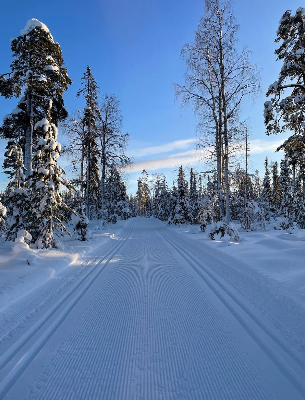 Villa Karhunkehto Luosto Bagian luar foto