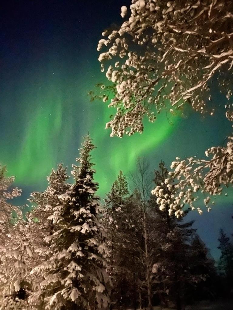 Villa Karhunkehto Luosto Bagian luar foto