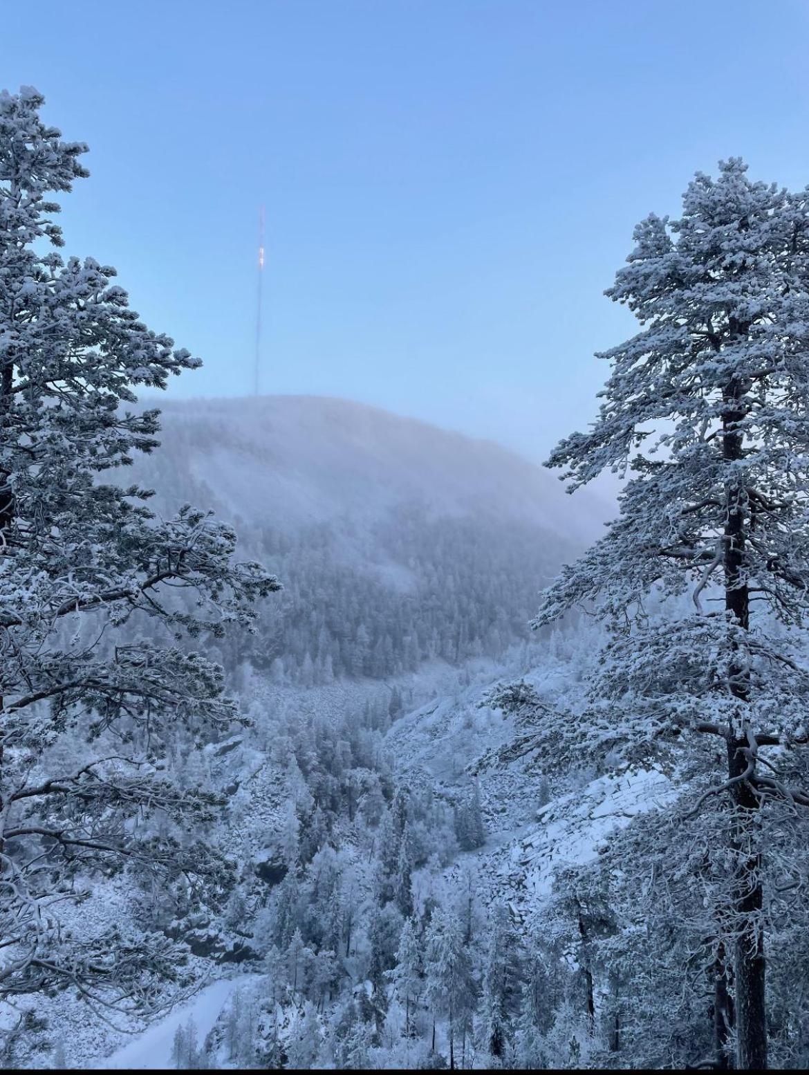 Villa Karhunkehto Luosto Bagian luar foto